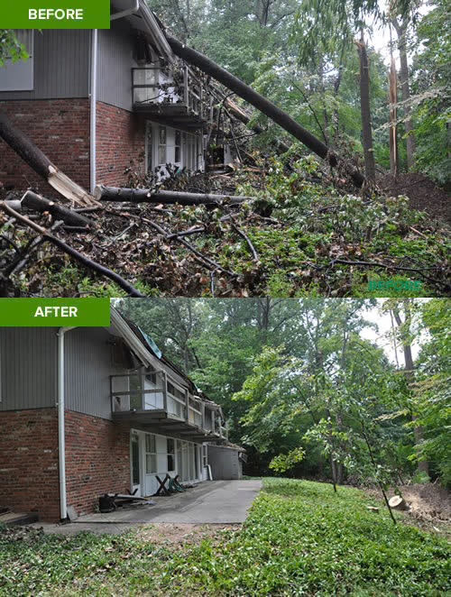 Before and after storm cleanup with a fallen tree cleared from a damaged home